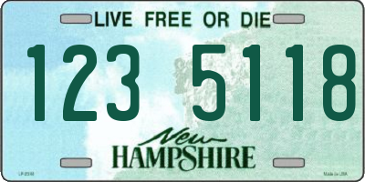 NH license plate 1235118