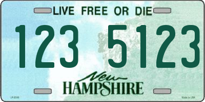 NH license plate 1235123