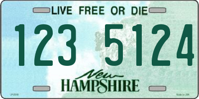 NH license plate 1235124