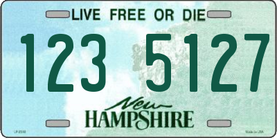 NH license plate 1235127