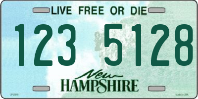 NH license plate 1235128