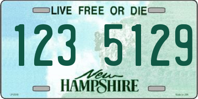 NH license plate 1235129
