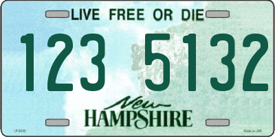 NH license plate 1235132