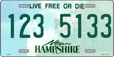 NH license plate 1235133