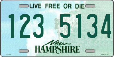 NH license plate 1235134