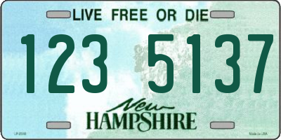 NH license plate 1235137