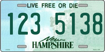 NH license plate 1235138