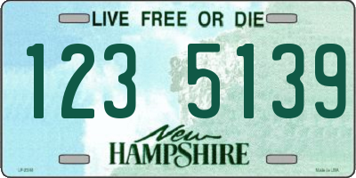 NH license plate 1235139