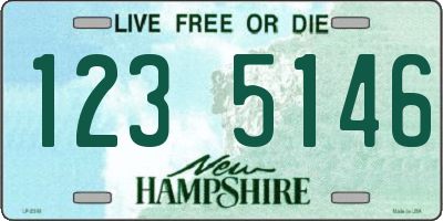NH license plate 1235146