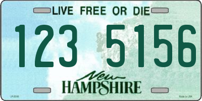 NH license plate 1235156