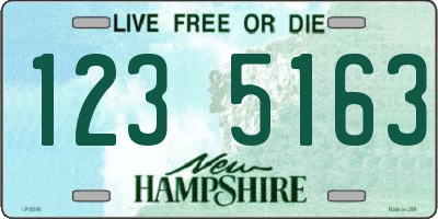 NH license plate 1235163