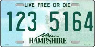 NH license plate 1235164