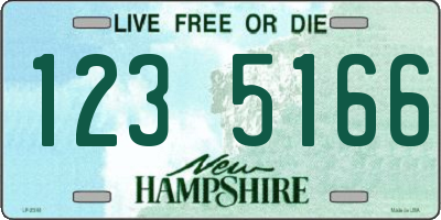 NH license plate 1235166