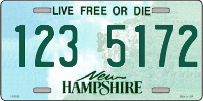 NH license plate 1235172
