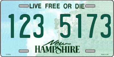 NH license plate 1235173