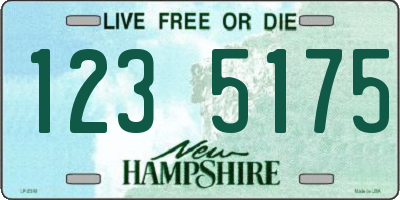 NH license plate 1235175