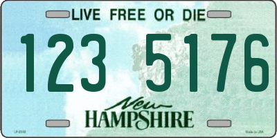 NH license plate 1235176