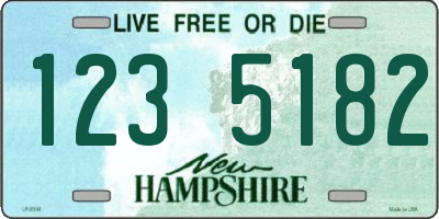 NH license plate 1235182