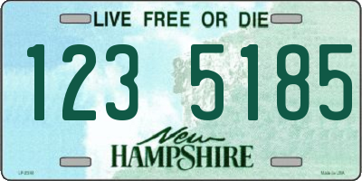 NH license plate 1235185