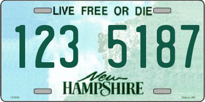 NH license plate 1235187