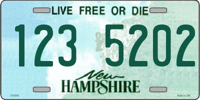 NH license plate 1235202