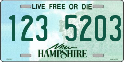 NH license plate 1235203