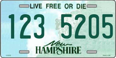 NH license plate 1235205
