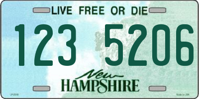 NH license plate 1235206