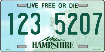 NH license plate 1235207