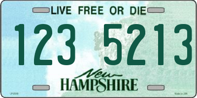 NH license plate 1235213