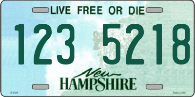 NH license plate 1235218