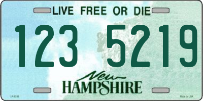 NH license plate 1235219