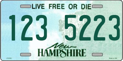 NH license plate 1235223