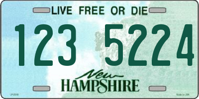 NH license plate 1235224