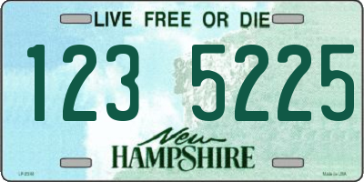 NH license plate 1235225