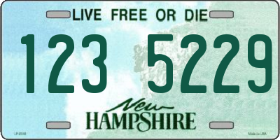 NH license plate 1235229