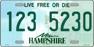 NH license plate 1235230