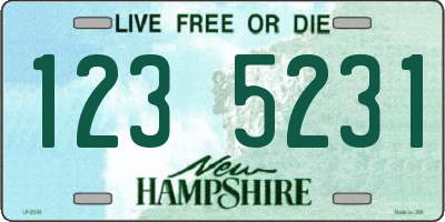 NH license plate 1235231