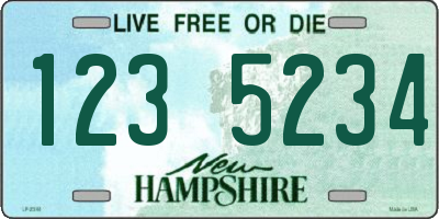 NH license plate 1235234