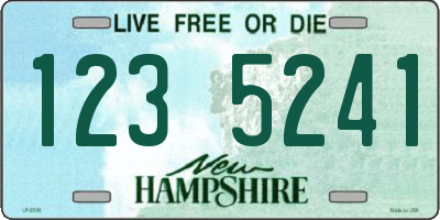 NH license plate 1235241