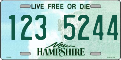 NH license plate 1235244