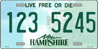 NH license plate 1235245