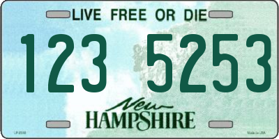 NH license plate 1235253