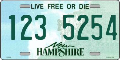 NH license plate 1235254