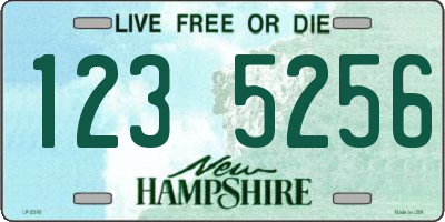 NH license plate 1235256