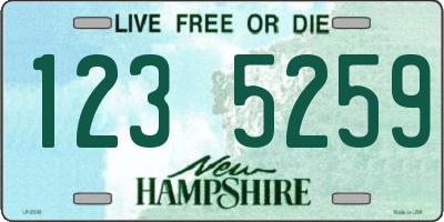 NH license plate 1235259