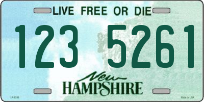 NH license plate 1235261