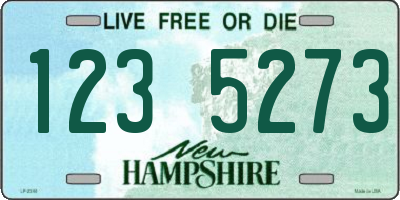 NH license plate 1235273