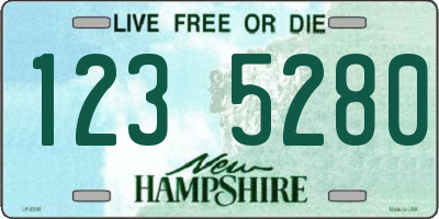 NH license plate 1235280