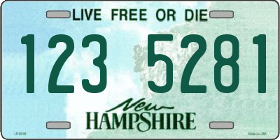 NH license plate 1235281